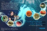 The New Illustrated Guide to Fish Diseases by Dr Gerald Bassleer