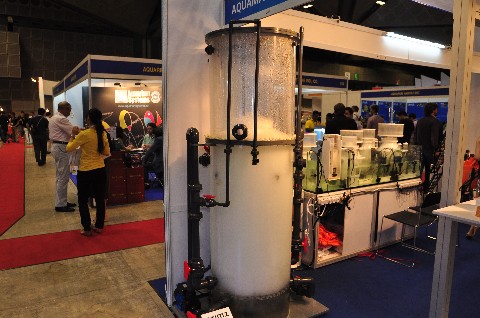 Aquarama11_Skimz029 Aquarama 2011 - Skimz Singapore LLP - AquaMarin Aquatic Pets