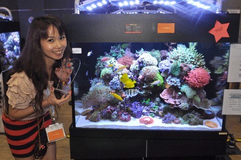 Aquarama11_Skimz030 Aquarama 2011 - Skimz Singapore LLP - AquaMarin Aquatic Pets