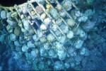 Coral Arks Rebuild Marine Ecosystems—With Electricity and Rebar